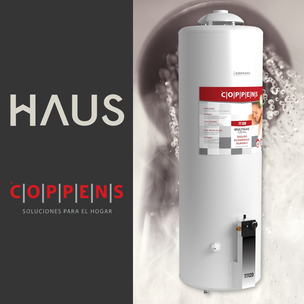 Termotanque Multigas Coppens 120l Conexion Superior Blanco