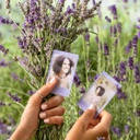FILM FUJI INSTAX MINI SOFT LAVANDER 10 PK