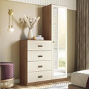 Comoda Estilo C/espejo Santo Andira 1 Puerta - 4 Cajones