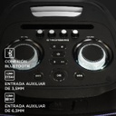 PARLANTE STROMBERG NOVA PORT BT100W WOOFER 2X1 AUX