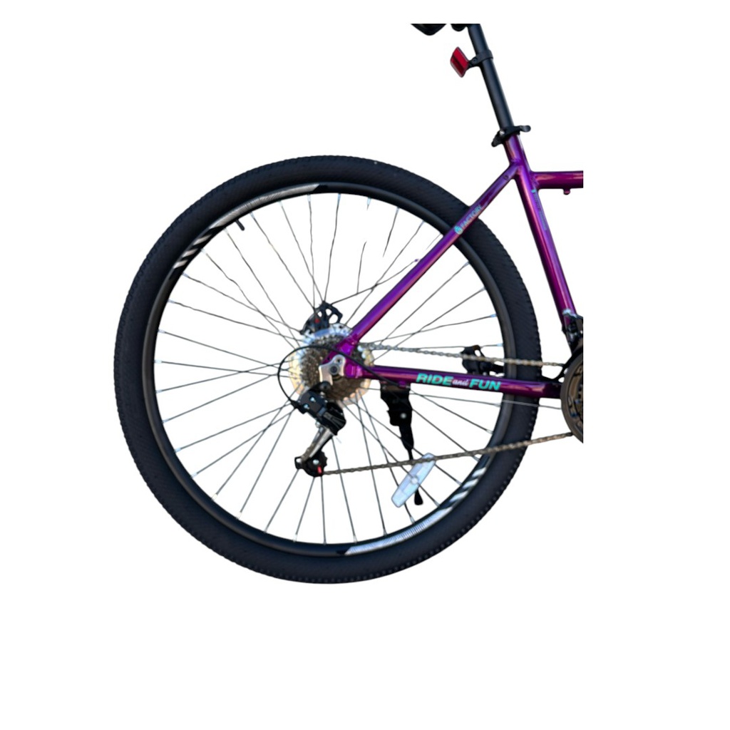 BICICLETA GRAVITY DABOMB R29 TALLE M/L VIOLETA