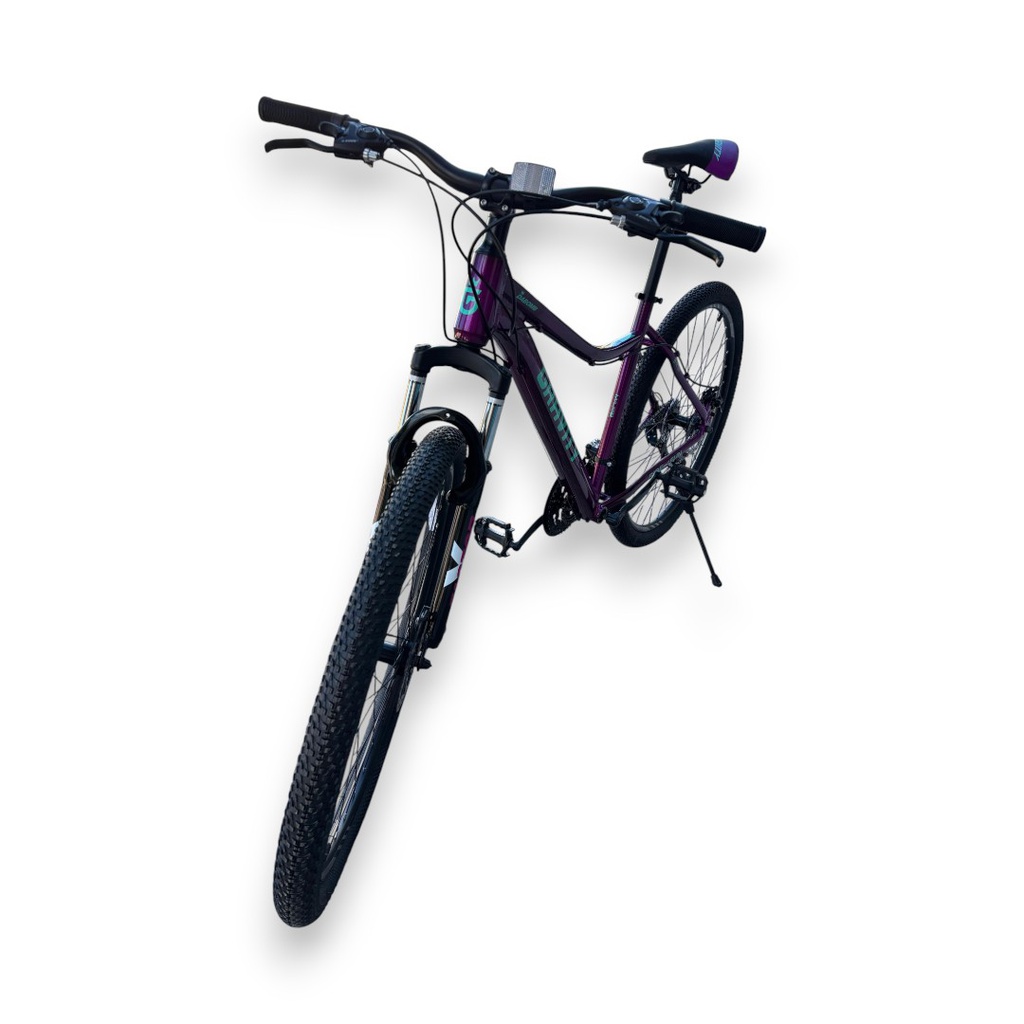 BICICLETA GRAVITY DABOMB R29 TALLE M/L VIOLETA