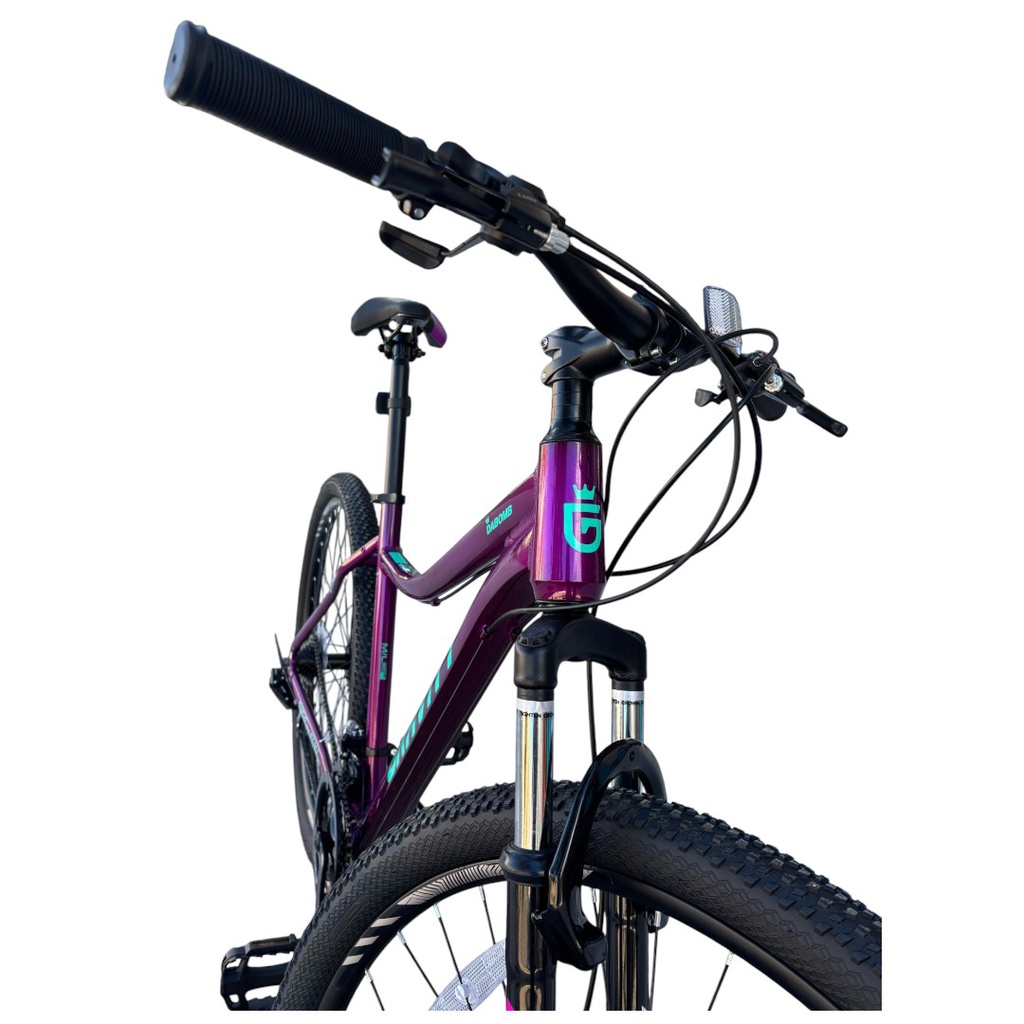 BICICLETA GRAVITY DABOMB R29 TALLE M/L VIOLETA