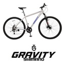 Bicicleta Rodado 29 Mtb Aluminio 21v Gravity Benz