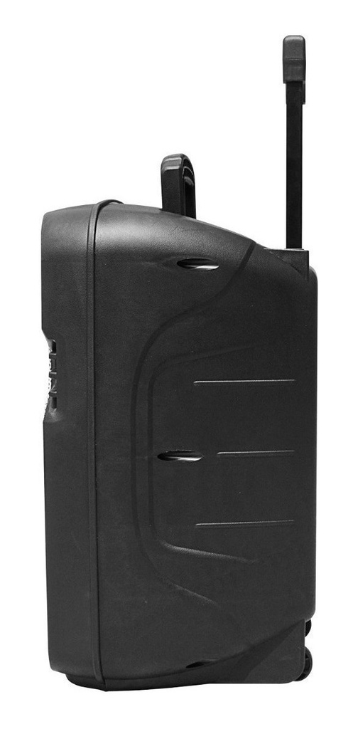 Parlante Aiwa Aw-p1510d-sn Pmpo 7000w
