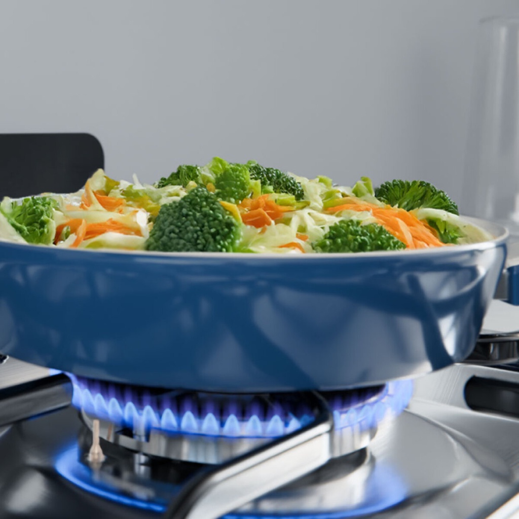 COCINA MULTIGAS DREAN CD5602AI0 56 cm INOX