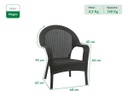Sillon Garden Life X2 F785667 Rattan Qatar Gris Grafito