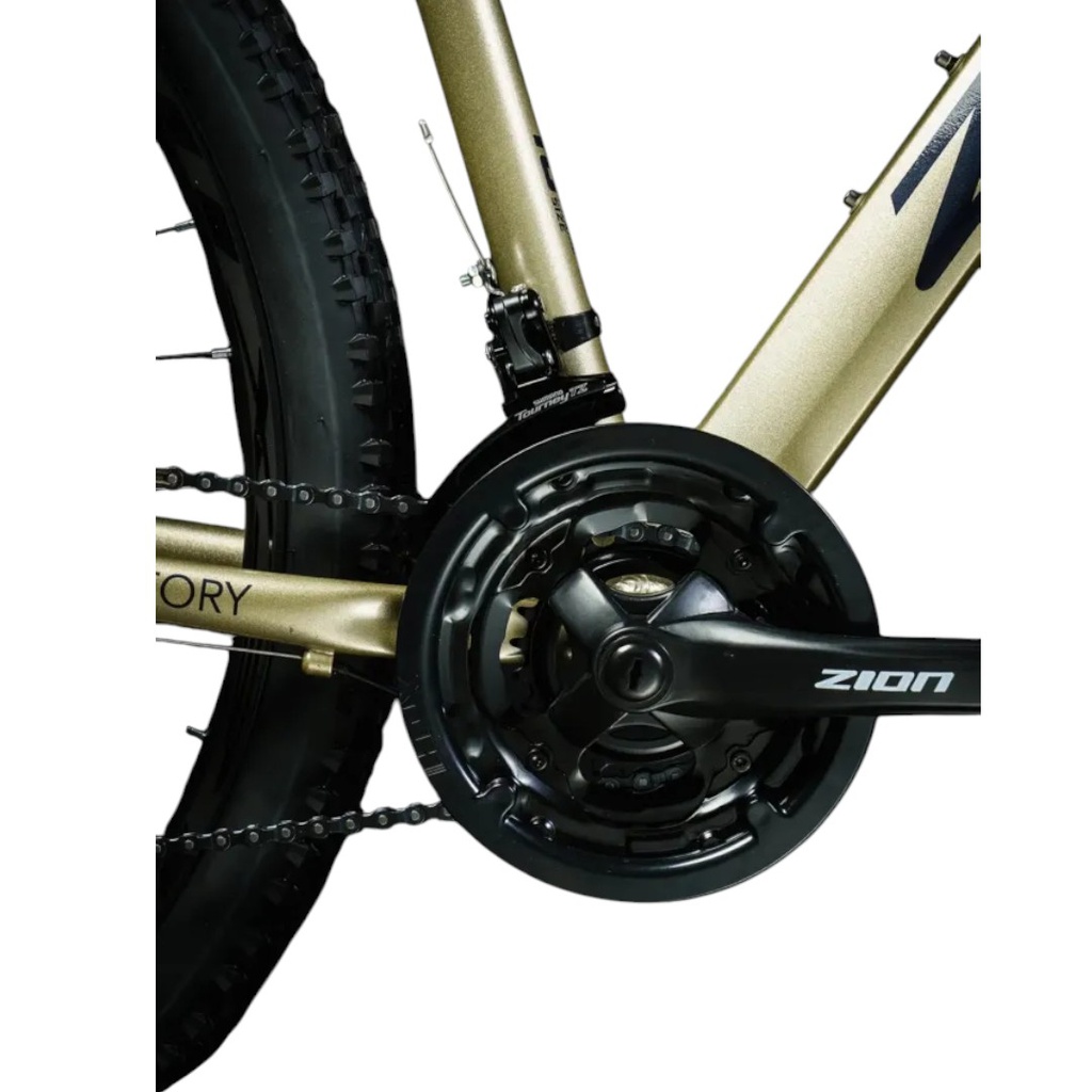 BICICLETA ZION ASPRO DG TALLE S DORADO GRIS