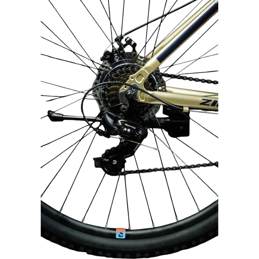 BICICLETA ZION ASPRO DG TALLE L DORADO GRIS