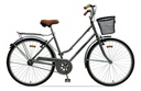 BICICLETA TOMASELLI FLOYD ROD 26 TFLO2962GRI GRIS