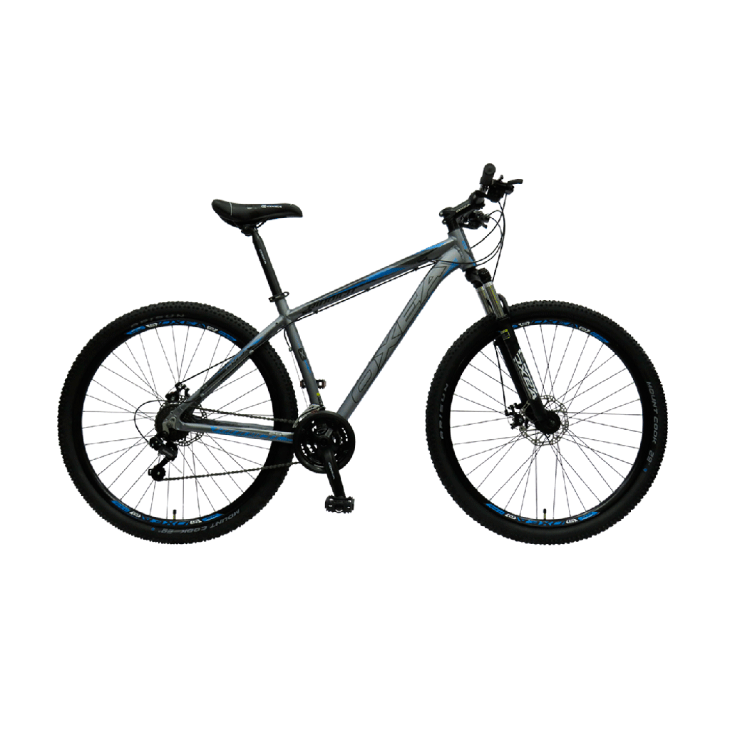 BICICLETA OXEA RIDDICH ROD29 21 VEL FRENO DISCO S PLATA TURQUESA NEGRO