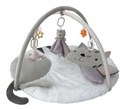 GIMNASIO DIDACTICO CARESTINO GATITO PL019