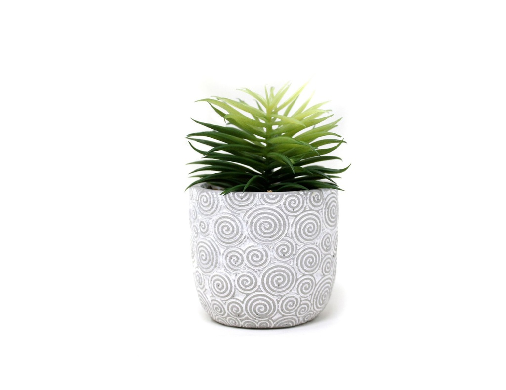 PLANTA CON MAC CEMENTO N 21 8X13 CM 21