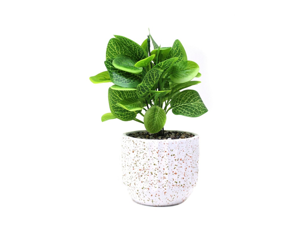 PLANTA CON MACETA CEMENTO N 29 12X26 CM29