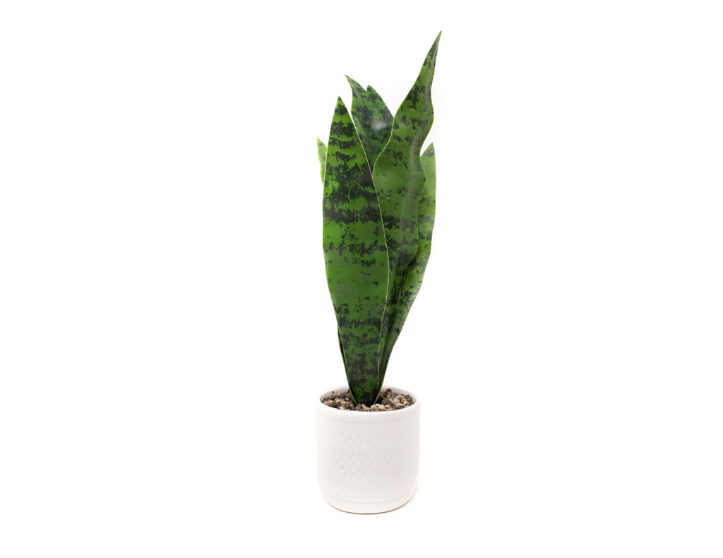 PLANTA CON MACETA CERAMICA N1 5X36 CM CR1