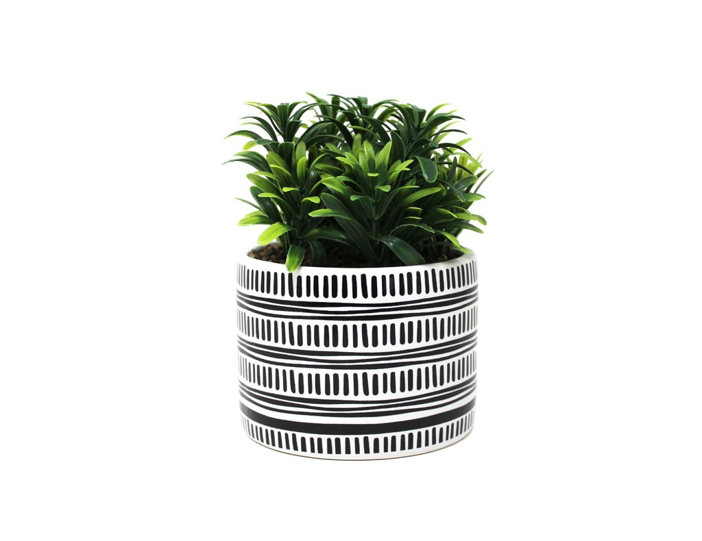 PLANTA CON MACETA CERAMICA N4 12X17 CM CR4