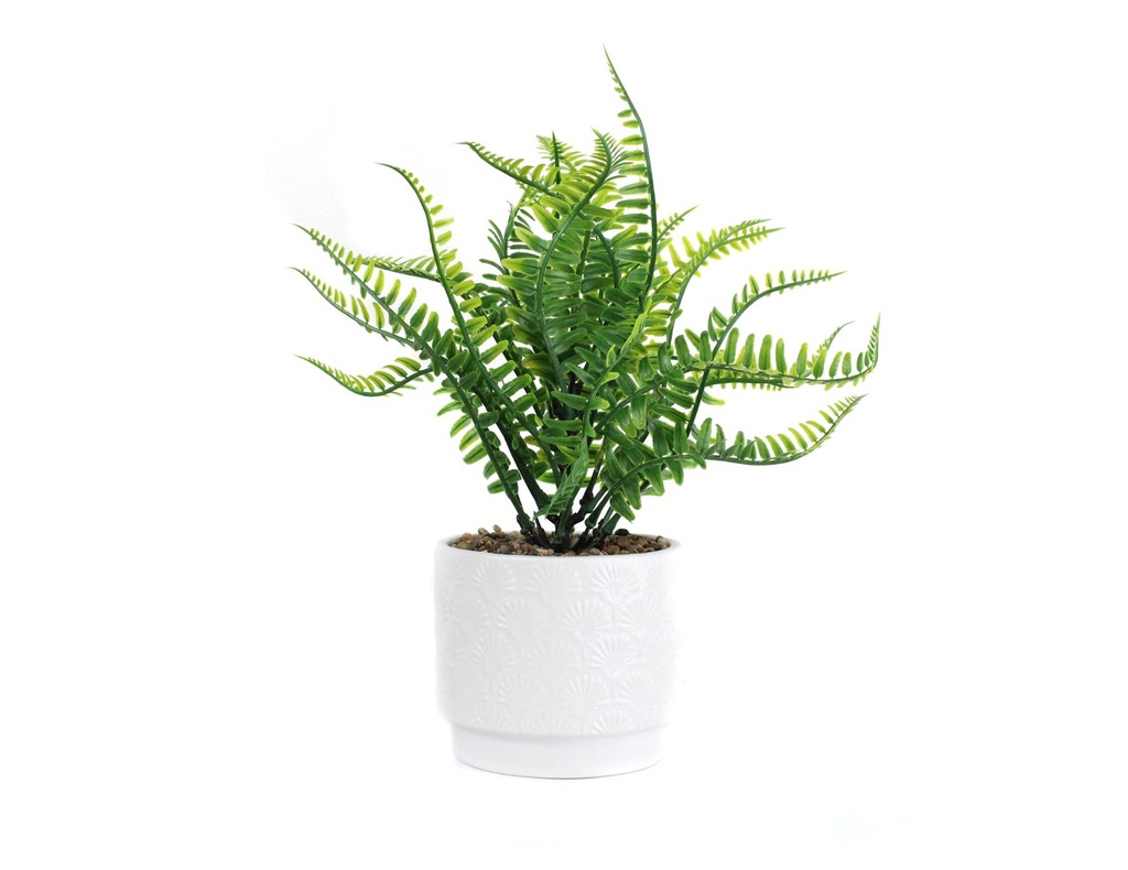 PLANTA CON MACETA CERAMICA N7 11X28 CR7