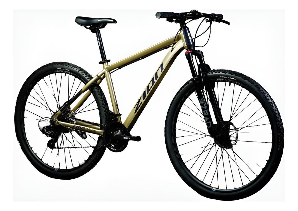 BICICLETA ZION ASPRO DG TALLE S DORADO GRIS