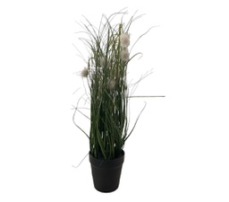 [33514044] PLANTA MATA 300561