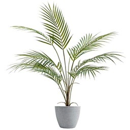 [11239017] PALMERITA GRANDE