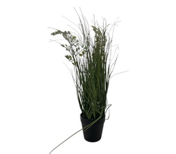 [33514166] PLANTA MATA 300560
