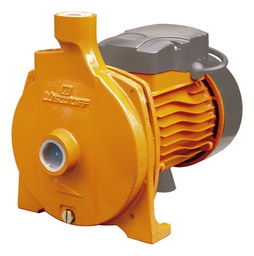[03221007] ELECTROBOMBA LUSQTOFF CENTRIFUGA 550W 0.75HP  CPM146