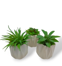 [16512029] PLANTITAS 1318