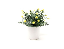 [33668112] BONSAI FLORES N 30B 8X15 CM AMARILLA BF30B