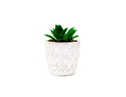 [33668124] PLANTA CON MACETA CEMENTO N8 5X10 CM CM8
