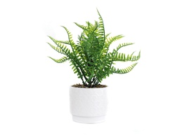 [33668128] PLANTA CON MACETA CERAMICA N7 11X28 CR7